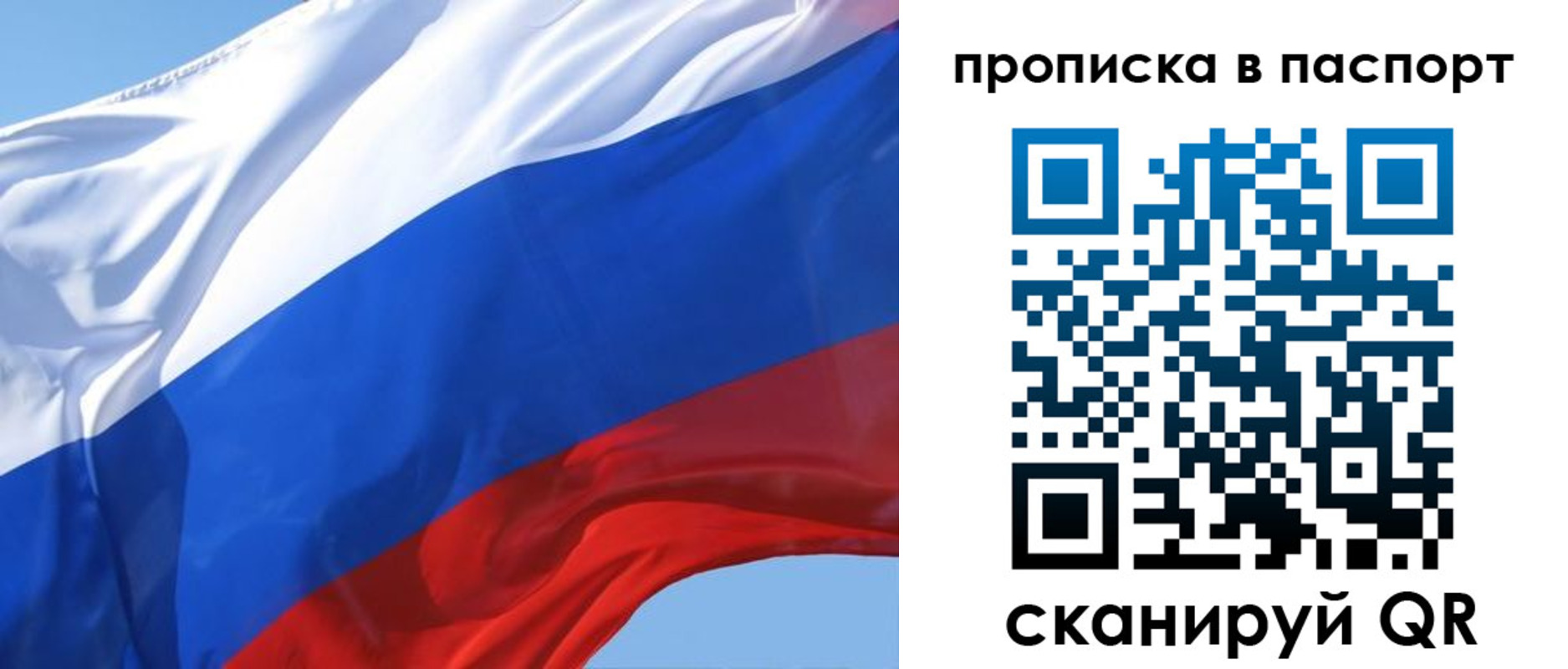 прописка иностранных граждан в Ленинградской области